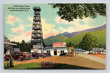 Indian Tower Camp Cabins Motel Franconia Notch New Hampshire NH Postcard picture