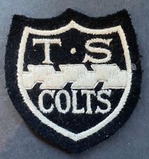 TS Colts Cloth Patch Vintage Lot 1030 picture