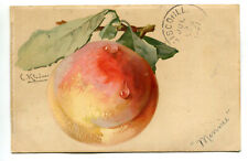 Peach by Artist C. Klein Vintage Postcard picture