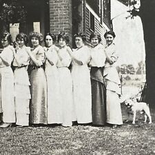 VINTAGE PHOTO 1914 Women In A Row Line With Bulldog Dog Original Snapshot picture