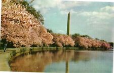 Vintage Postcard- The Washington Monument and Cherry Trees, Wash UnPost 1960s picture