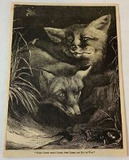 1879 magazine engraving ~ TWO FOXES When Greek Meets Greek picture