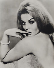 Rare Vintage BW 8x10 Photo ANN-MARGRET Stunning Sexy Swedish Actress picture