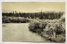 Antique Mt. Pitt Oregon Souvenir Postcard United States One Cent Posted picture