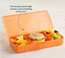 Tupperware Lunch N Things  Divided Hinged Container Orange New picture
