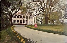 Natchez Mississippi Southern Lady at D’Evereux Mansion Vintage MS Postcard c1950 picture