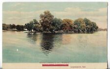 Vtg Postcard- Kienley's Island in the Wabash - Logansport, Indiana 1908 picture