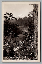 Postcard RPPC Oregon Mt. Hood Perpetually Snowcapped Unposted c1930-1950 picture