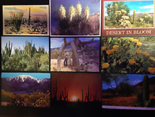 40+ Postcard lot, Desert, Cactus. Set 2. Nice picture