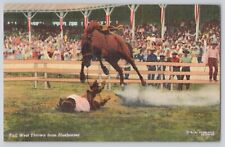 Postcard Cowboy Rodeo Earl West Thrown From Bluebonnet Horse Vintage 1942 picture