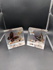 Vintage Lucite Taxidermy Butterfly Bookends Pair picture