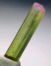 An Outstanding Bi Colour Terminated Tourmaline Crystal From Paprok Mine picture