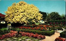 Oregon Postcard: Spanish Garden & Ghost Tree picture