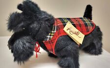 Scottish Terrier dog with plaid coat. picture