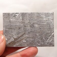 89g  Muonionalusta meteorite part slice  A168 picture