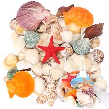 100 pcs Sea Shells Mixed Beach Seashells, Colorful Natural Seashells for Cand... picture
