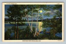 OH-Ohio, Scenic Greetings, Lake View At Night, Vintage Postcard picture