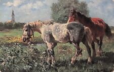 Artist Signed Grey and Bay Horses in Field Vintage Postcard picture