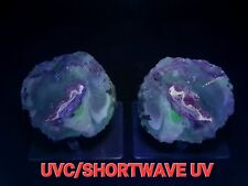 Cut Multicolor Fluorescent Geode UV Reactive Halved Geode Galaxy or Nebula Look picture
