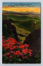 Linville NC-North Carolina, Scenic Grandfather Mountain, Vintage Card Postcard picture