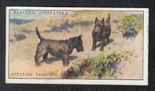 SCOTTISH TERRIERS Vintage 1925 Dog Painting Card  picture