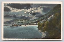 Postcard Moonlight On The Susquehanna Towanda Pennsylvania 1917 picture