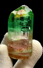 42.5 Grm Top Quality Bi Colour Tourmaline Crystal From Jaba Afghanistan picture