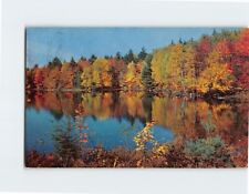 Postcard Beautiful Autumn Nature Scene picture