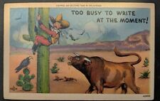 Antique Comedy Postcard, Having An Exciting Time In Oklahoma picture