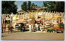 Postcard Elitch Gardens in Mile High Denver, Colorado Calypso Ride G155 picture
