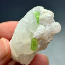214 Cts Beautiful Terminated Tourmaline Crystal with Quartz from Afghanistan picture