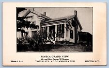 Early View Of The Seneca Grand View Tourist Home At Hector NY New York NY G147 picture
