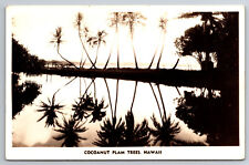 Vintage Postcard HI Cocoanut Plam Trees Hawaii Real Photo RPPC ~4174 picture