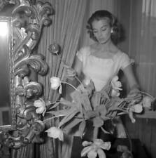 Capucine French model and actress 1955 OLD PHOTO 3 picture