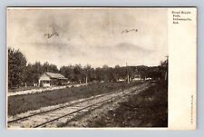 Indianapolis IN-Indiana, Broad Ripple Park, Antique, Vintage Postcard picture