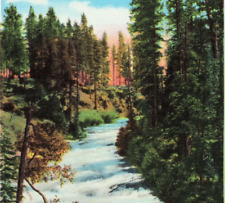 Idaho ID Payette River Falls Beautiful Unposted Vintage Postcard picture