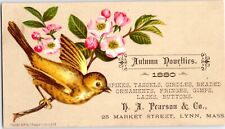 1880 Lynn, Massachusetts Autumn Novelties H.A. Pearson & Co Victorian Trade Card picture