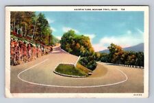 Mohawk Trail MA-Massachusetts, Hairpin Turn, Antique, Vintage Souvenir Postcard picture