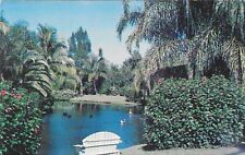 Vintage Scenic Chrome Postcard Exotic Jungle Setting Unusual Park Southland picture