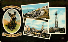 Postcard Multiview Vignette Blackpool Talbot Square The Tower & Gynn Terrier Dog picture