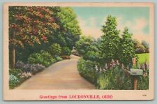 Loudonville OH Mailbox Flag is Down Here~Linen~To Philo IL~1940s Red Raspberries picture