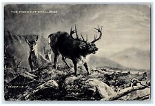 1910 The Midnight Challenge Deer Buck Hurford Ohio OH Posted Antique Postcard picture