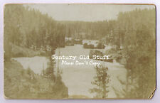 1890s, Yellowstone Rapids Just Above the Falls - Antique Cabinet Card Photo picture
