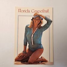 1970s Florida Girl Wet Shirt Postcard Risque Humor Beach Florida Grapefruit picture