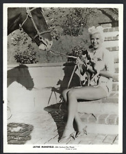 Jayne Mansfield Gorgeous Actress SEXY LEGS 1950 Vintage ORIGINAL Photo picture