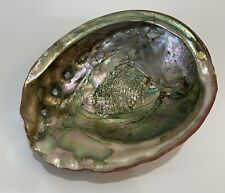 Large Vintage Red Abalone Seashell Mother of Pearl Shell 8