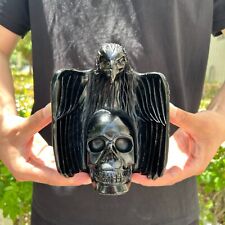 3.9LB 6.2'' Natural Black Obsidian Eagle Skull Quartz Statue Crystal Decor Reiki picture