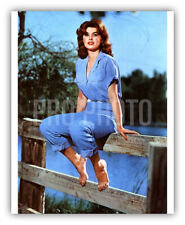 Busty Red Head Bare Foot Farm Girl Tina Louise Press Photo Sits On Wooden Fence picture