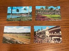 Miami FL Hialeah Horse Race Course Park Lot of 4 Postcards Florida picture