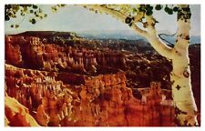 Vintage Bryce Canyon from Sunset Point Utah Postcard National Park Unposted picture